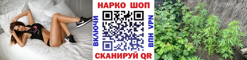 Хочу наркоту Иланский Канабис  Гашиш 